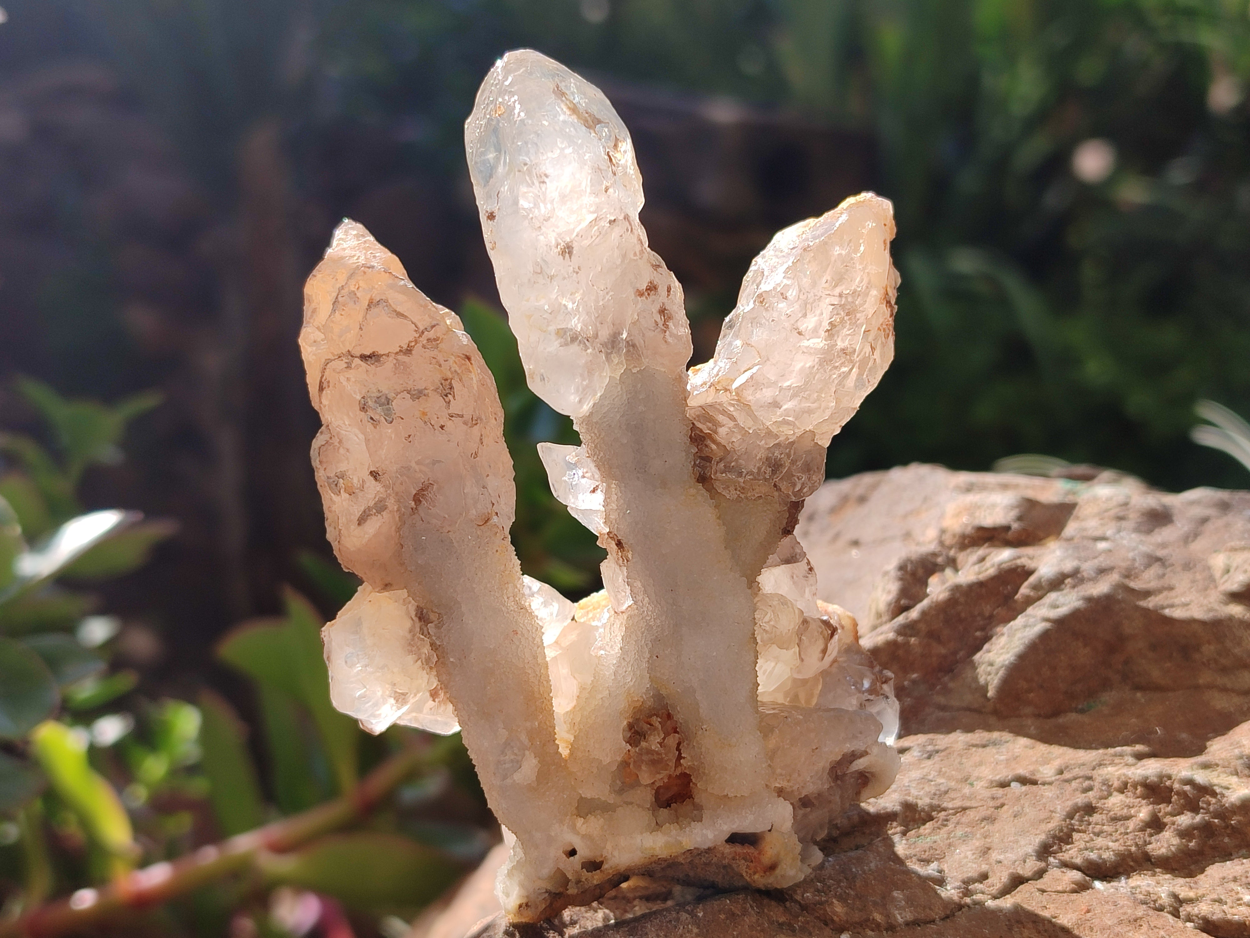 Natural Drusy Quartz Coated Calcite Pseudomorph Specimens x 6 From Alberts Mountain, Lesotho