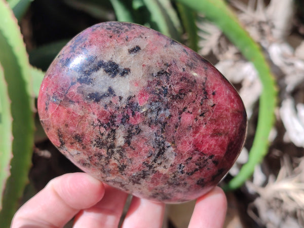 Polished Rhodonite Palm Stones x 3 From Zimbabwe