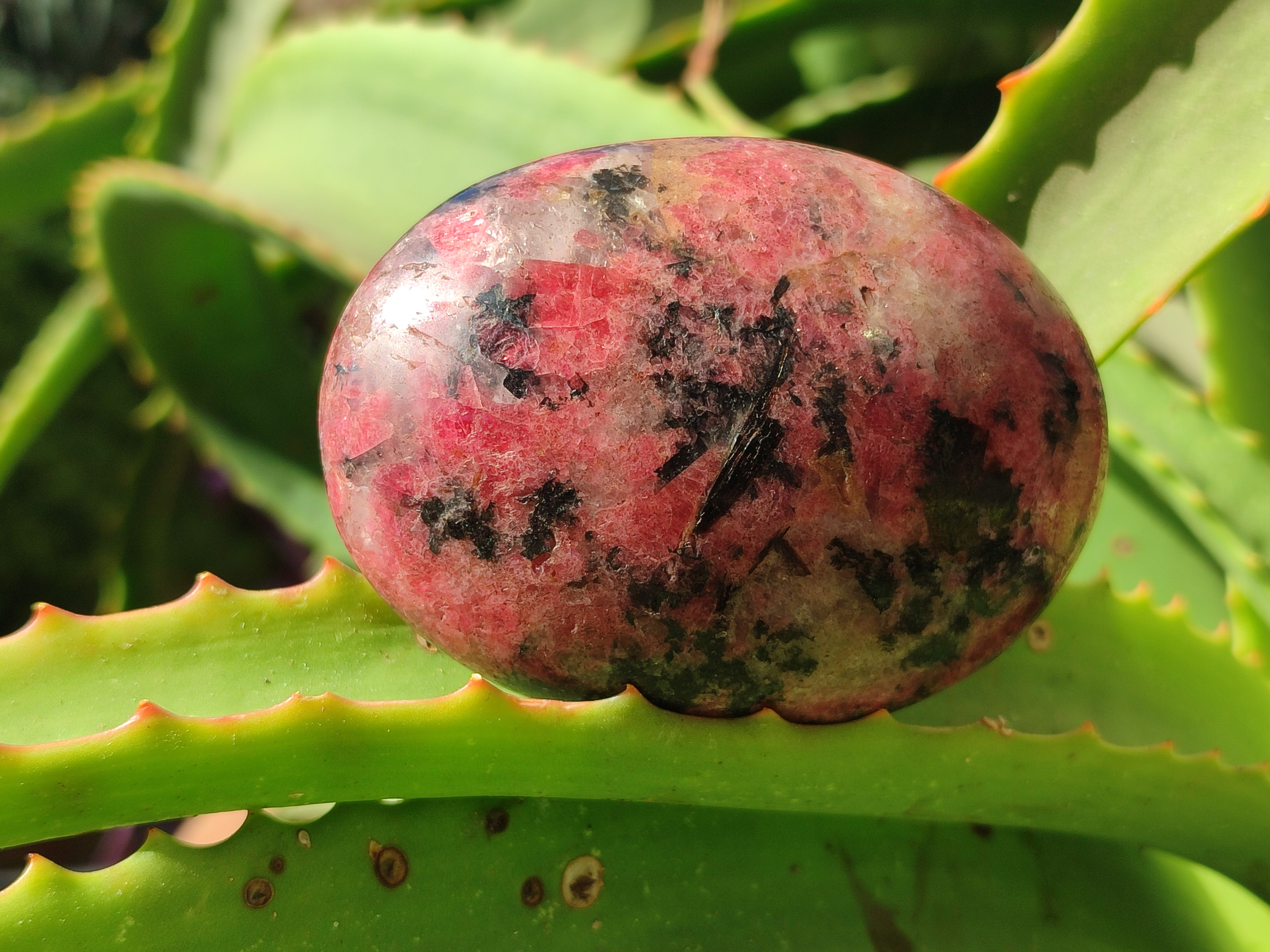 Polished Rhodonite Palm Stones x 3 From Zimbabwe