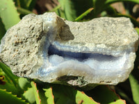 Natural Blue Lace Agate Geode Specimens x 2 From Nsanje, Malawi