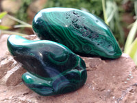 Polished Flower Banded Malachite Free Forms x 12 From Congo