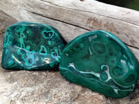 Polished Flower Banded Malachite Free Forms x 12 From Congo