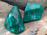 Polished Flower Banded Malachite Free Forms x 12 From Congo