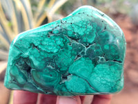 Polished Flower Banded Malachite Free Forms x 12 From Congo