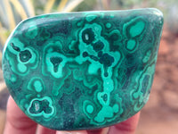 Polished Flower Banded Malachite Free Forms x 12 From Congo