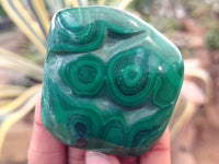 Polished Flower Banded Malachite Free Forms x 12 From Congo