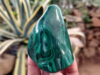 Polished Flower Banded Malachite Free Forms x 12 From Congo