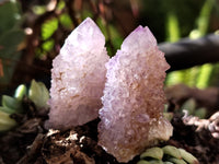 Natural Amethyst Spirit Quartz Crystals x 22 From Boekenhouthoek, South Africa