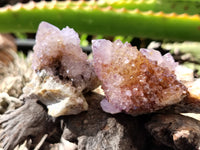 Natural Amethyst Spirit Quartz Crystals x 22 From Boekenhouthoek, South Africa