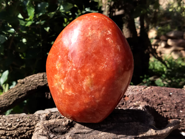 Polished Orange Twist Calcite Standing Free Form x 1 From Madagascar