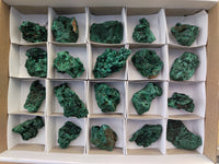 Natural Silky Malachite Specimens x 20 From Kasompe, Congo