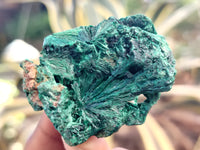 Natural Silky Malachite Specimens x 20 From Kasompe, Congo