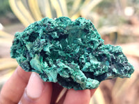 Natural Silky Malachite Specimens x 20 From Kasompe, Congo