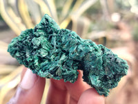 Natural Silky Malachite Specimens x 20 From Kasompe, Congo