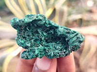 Natural Silky Malachite Specimens x 20 From Kasompe, Congo