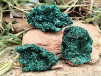 Natural Silky Malachite Specimens x 20 From Kasompe, Congo