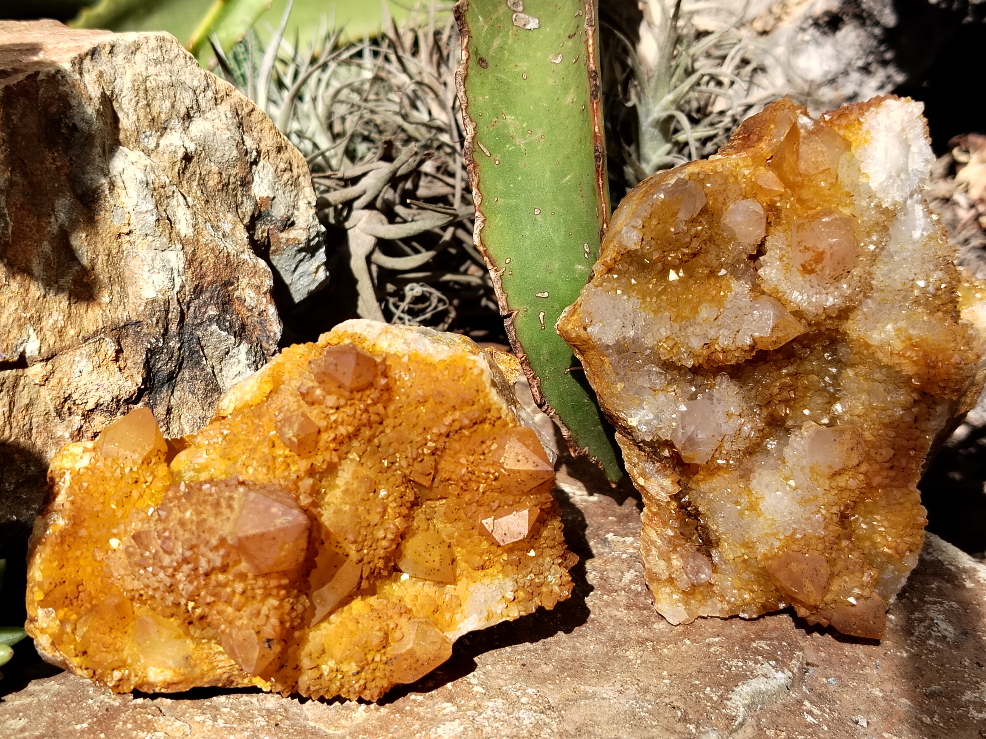 Natural Solar Golden Spirit Quartz Clusters x 6 From Boekenhouthoek, South Africa