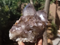 Natural Cactus Flower Spirit Quartz Clusters x 2 From South Africa