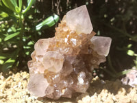 Natural Cactus Flower Spirit Quartz Clusters x 2 From South Africa