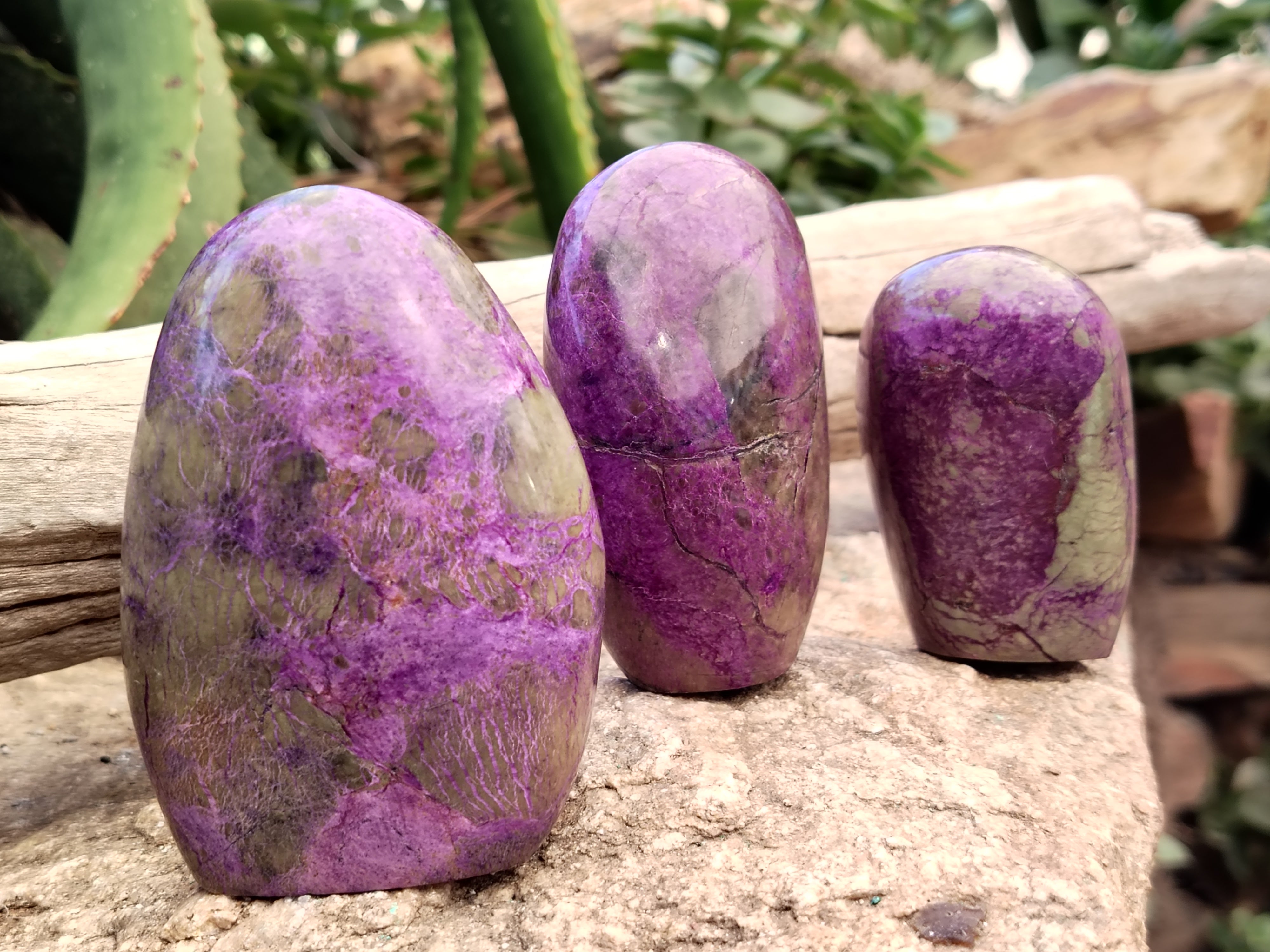 Polished Stichtite Standing Free Forms x 6 From Barberton, South Africa