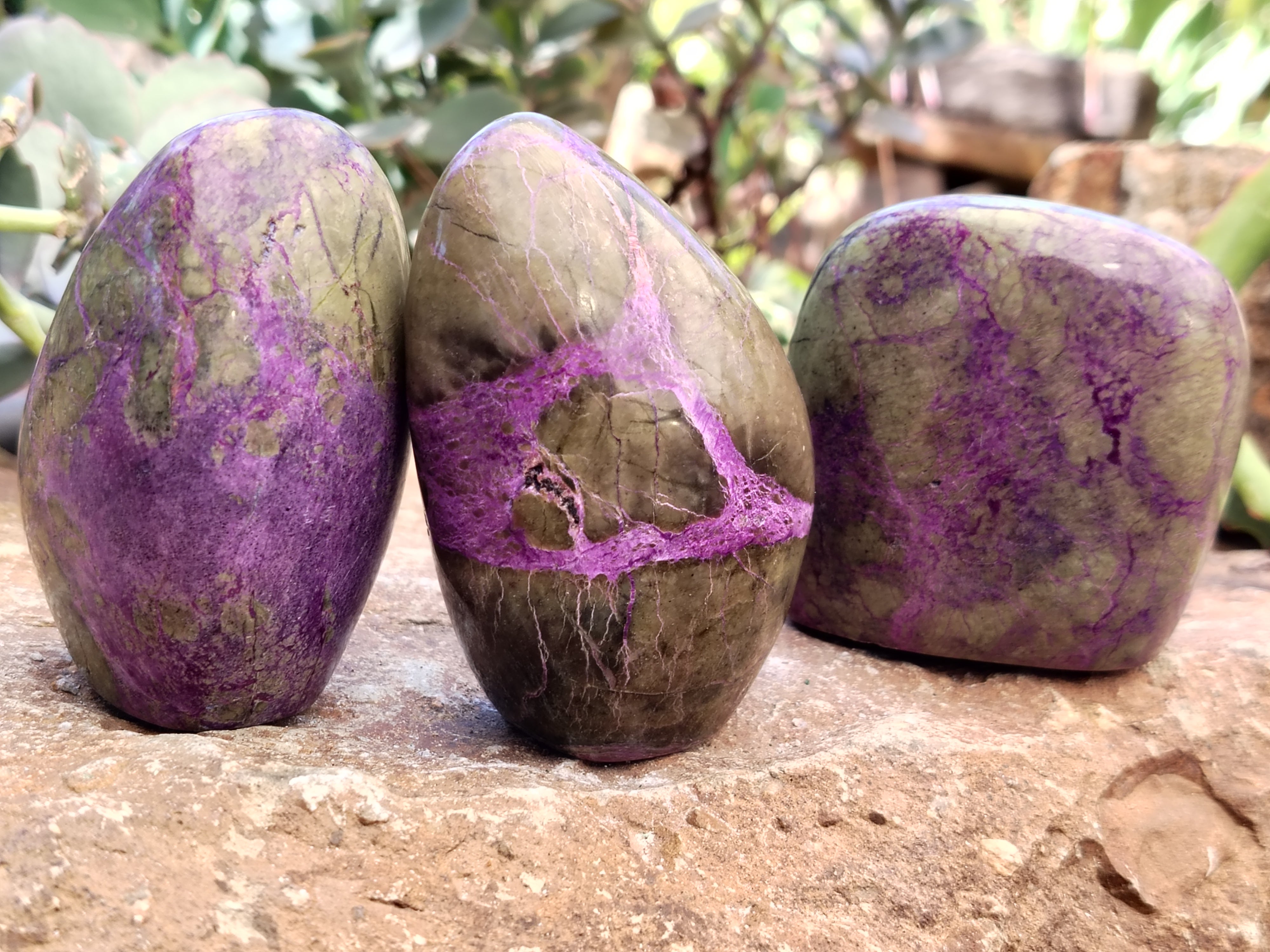 Polished Stichtite Standing Free Forms x 6 From Barberton, South Africa