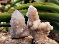 Natural Spirit Quartz Crystals x 95 From Boekenhouthoek, South Africa