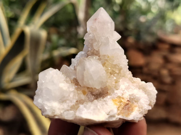 Natural Spirit Quartz Crystals x 95 From Boekenhouthoek, South Africa