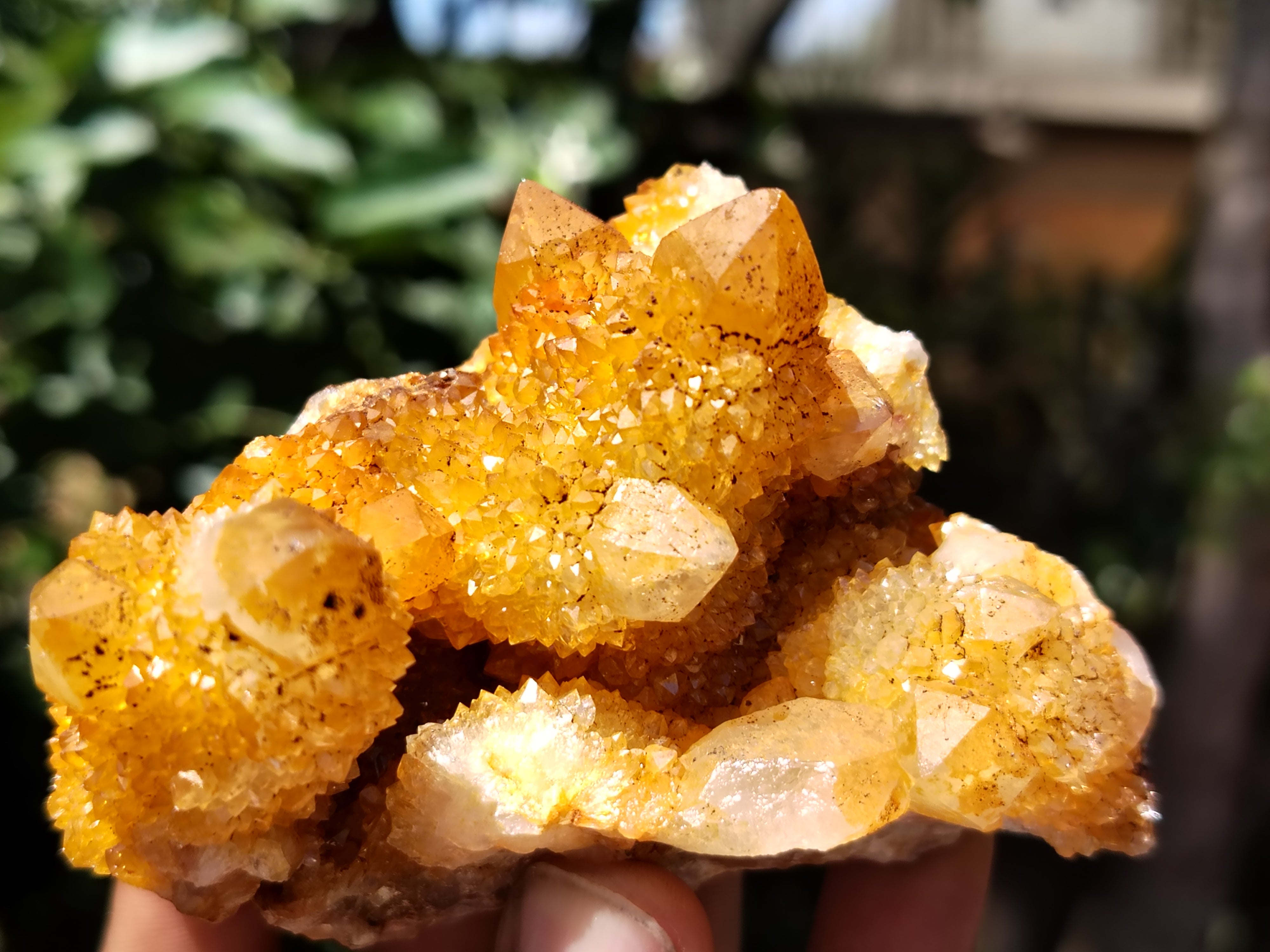 Natural Solar Golden Spirit Quartz Clusters x 6 From Boekenhouthoek, South Africa