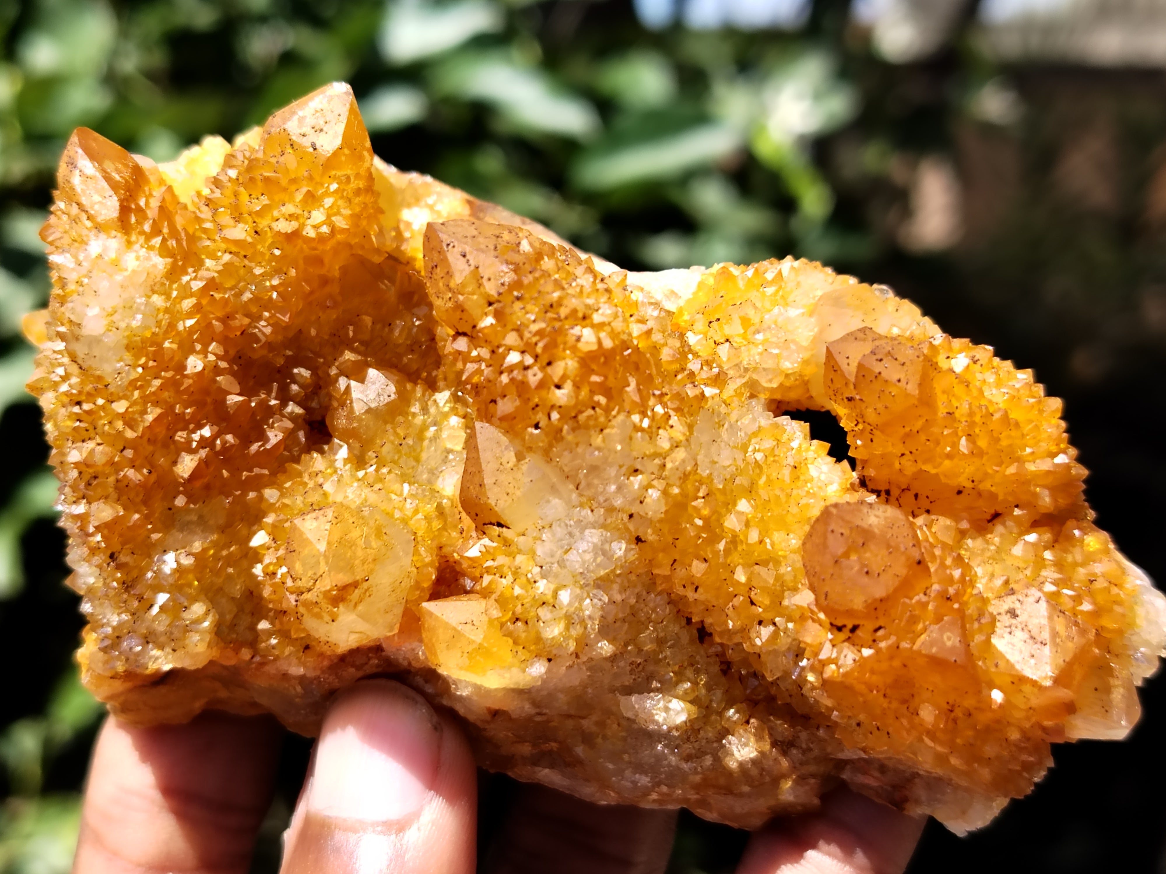 Natural Solar Golden Spirit Quartz Clusters x 6 From Boekenhouthoek, South Africa