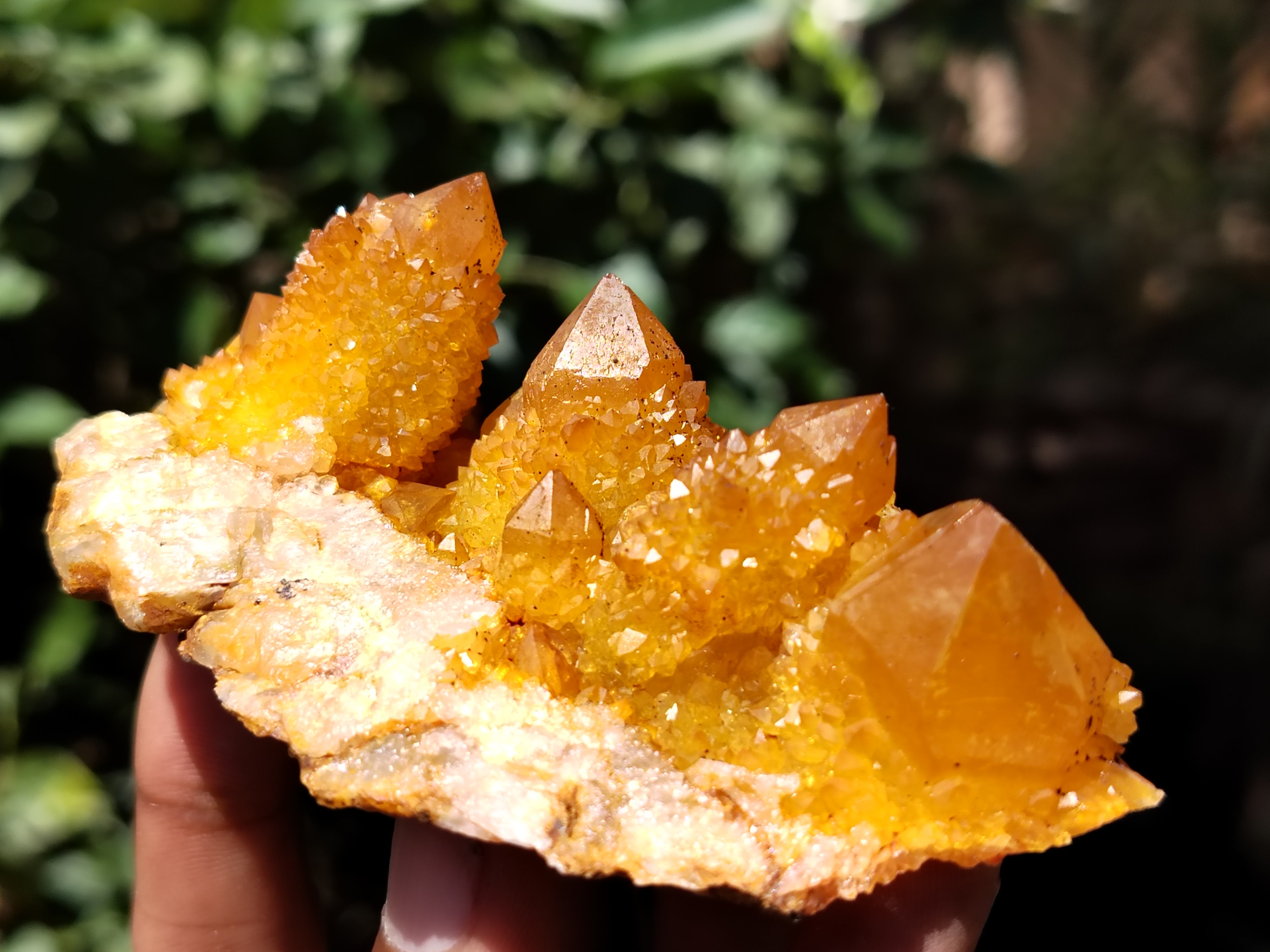 Natural Solar Golden Spirit Quartz Clusters x 6 From Boekenhouthoek, South Africa