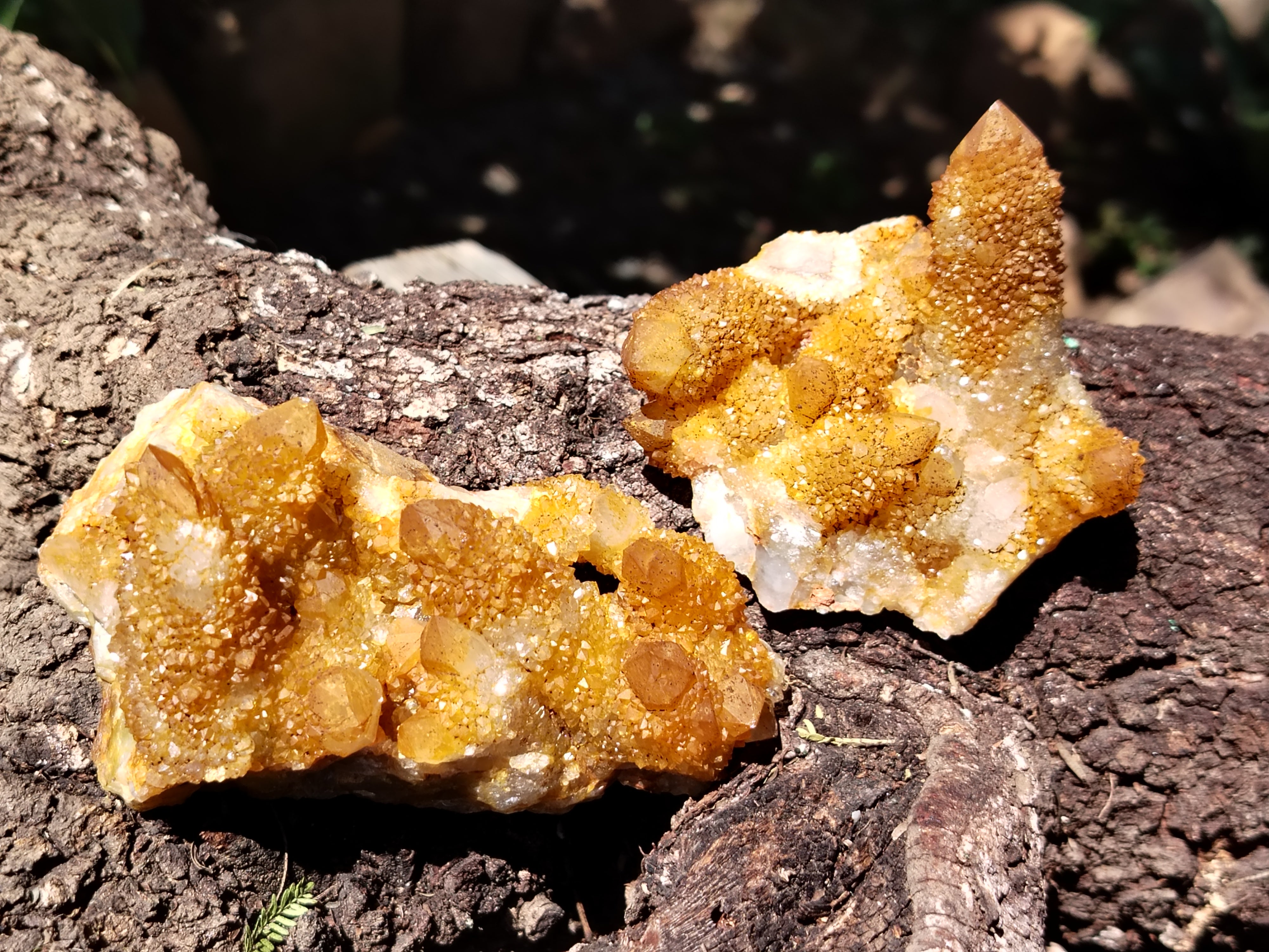 Natural Solar Golden Spirit Quartz Clusters x 6 From Boekenhouthoek, South Africa