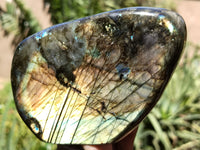 Polished Labradorite Standing Free Forms x 2 From Tulear, Madagascar