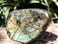 Polished Labradorite Standing Free Forms x 2 From Tulear, Madagascar