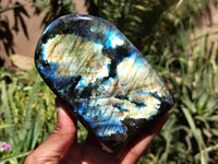 Polished Labradorite Standing Free Forms x 2 From Tulear, Madagascar