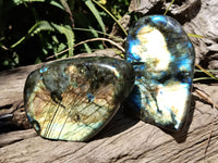 Polished Labradorite Standing Free Forms x 2 From Tulear, Madagascar