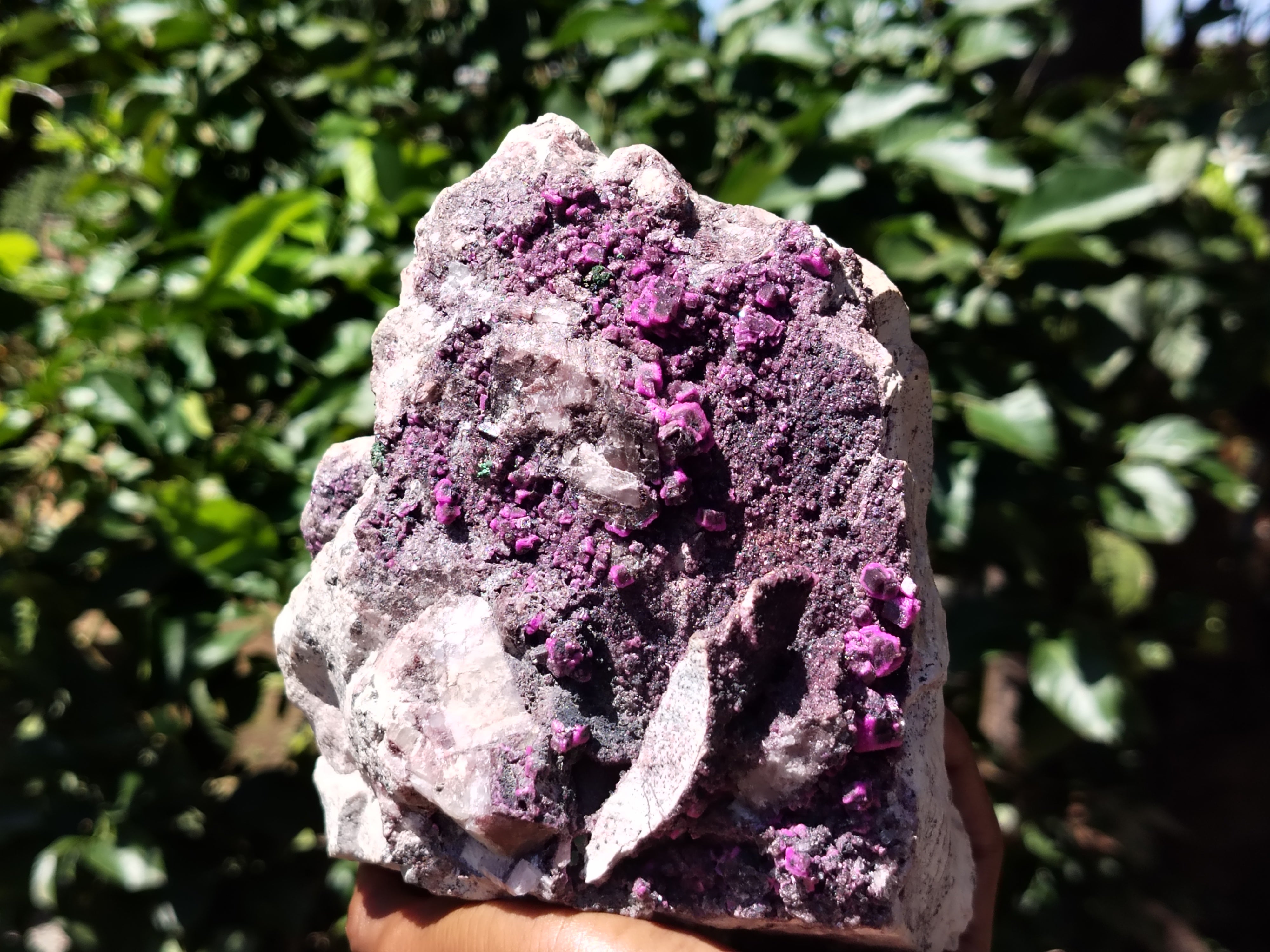 Natural Salrose Cobaltion Dolomite Specimen x 1 From Kakanda, Congo