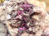 Natural Salrose Cobaltion Dolomite Specimen x 1 From Kakanda, Congo