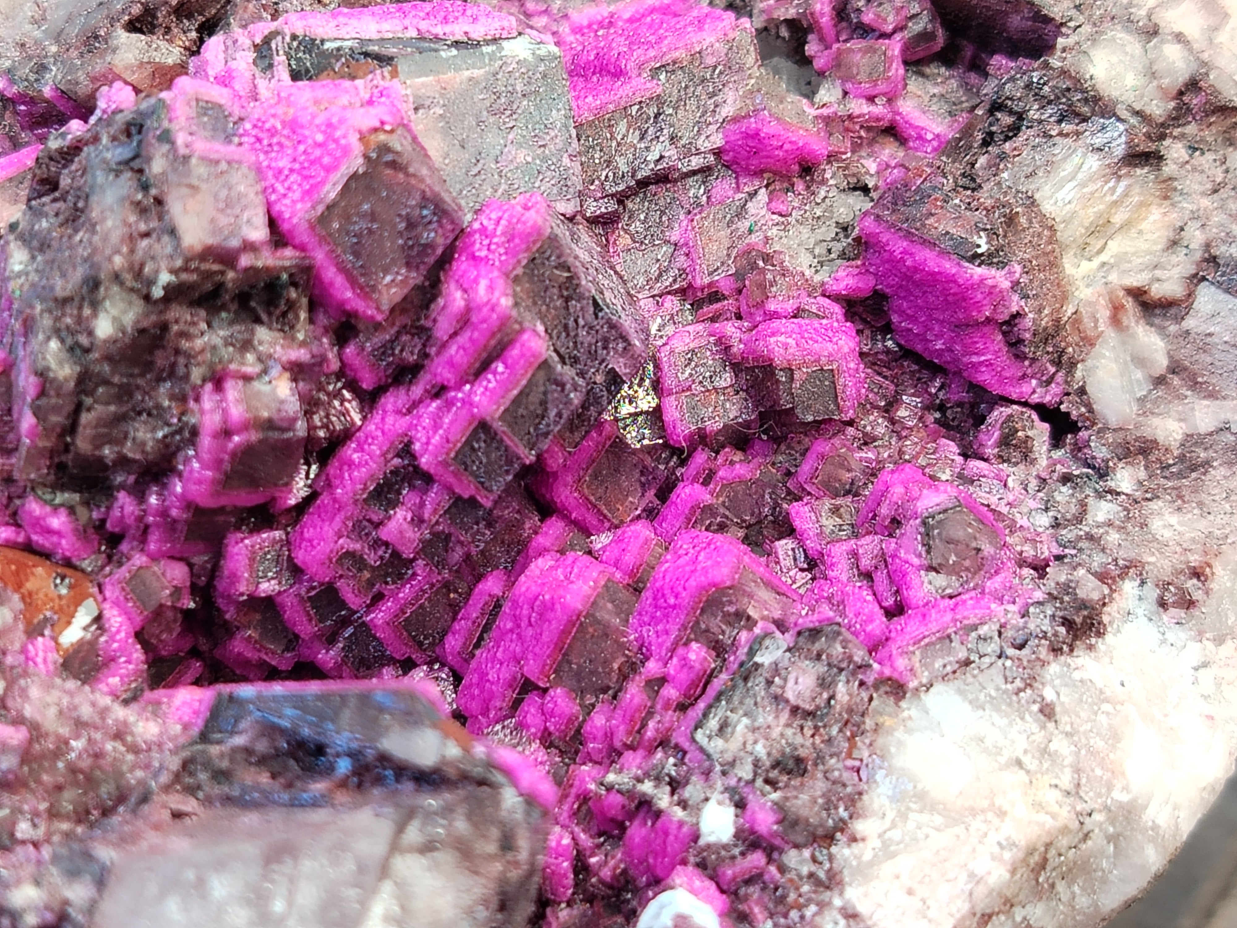 Natural Salrose Cobaltion Dolomite Specimen x 1 From Kakanda, Congo