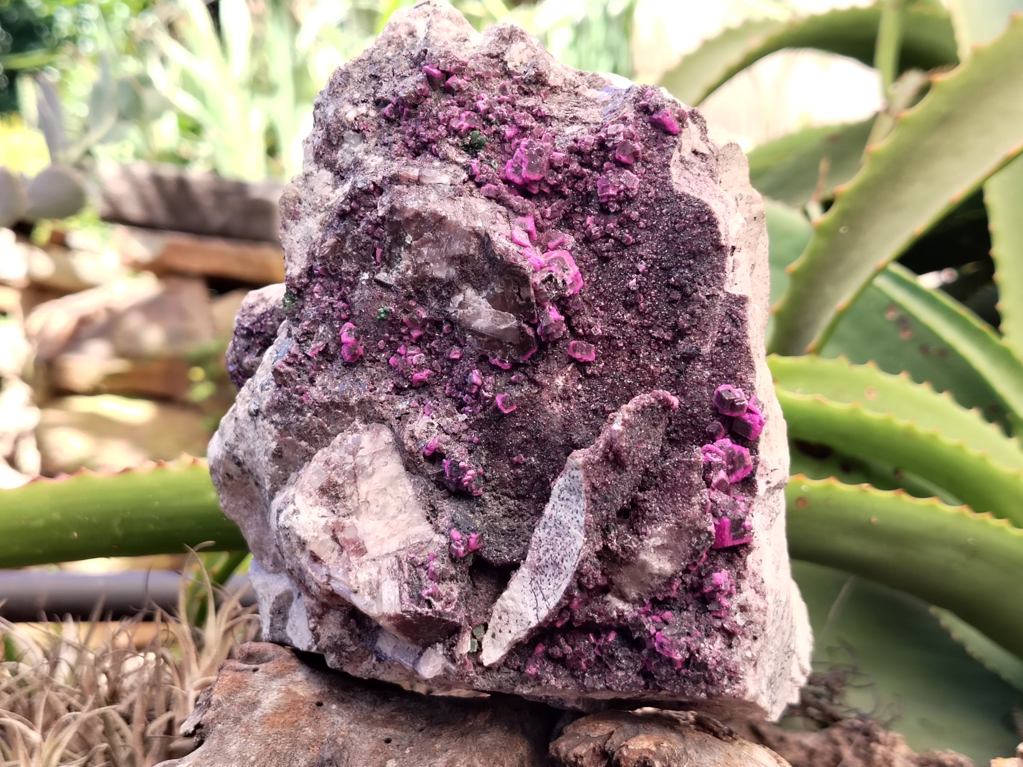 Natural Salrose Cobaltion Dolomite Specimen x 1 From Kakanda, Congo