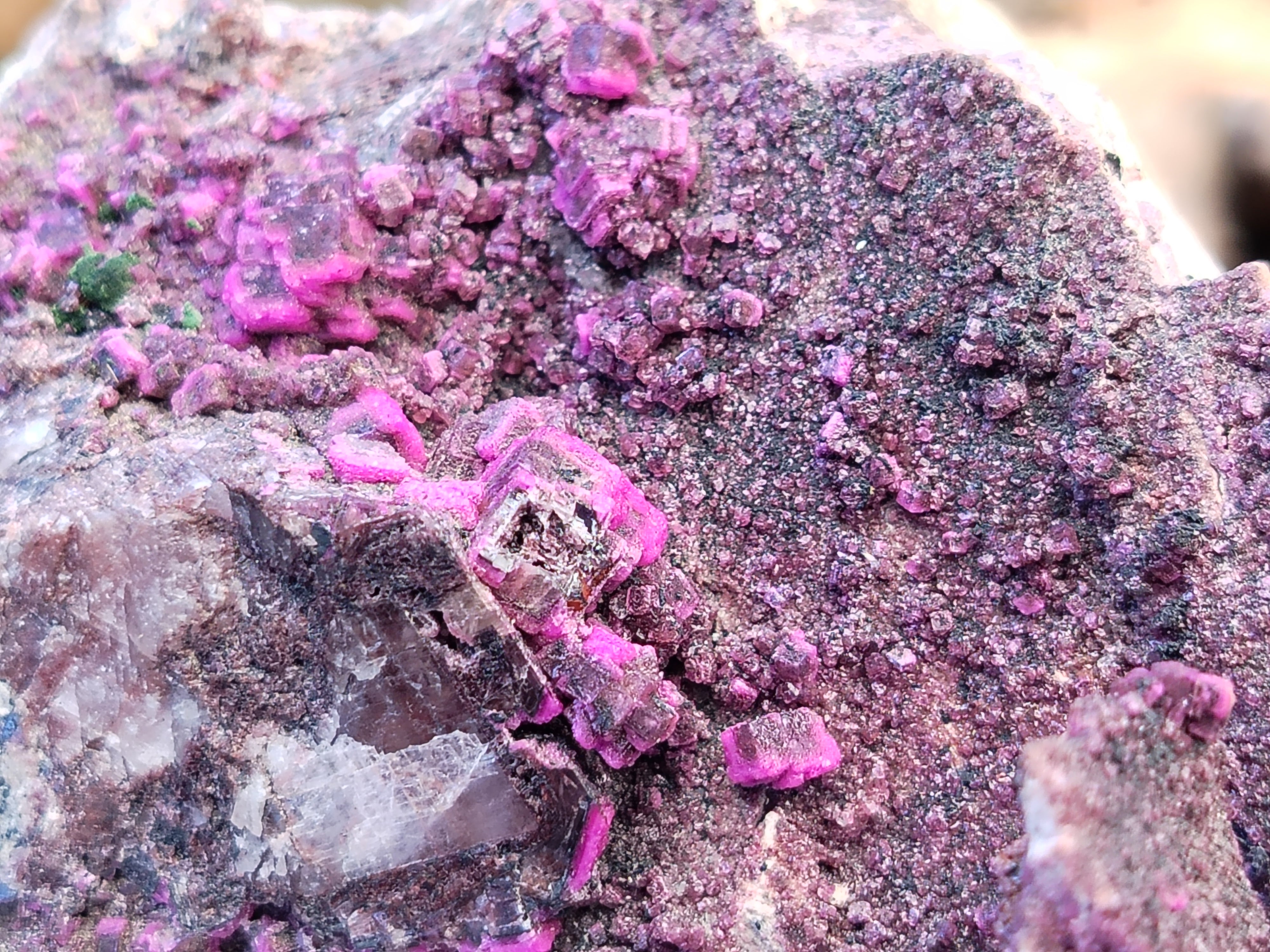 Natural Salrose Cobaltion Dolomite Specimen x 1 From Kakanda, Congo