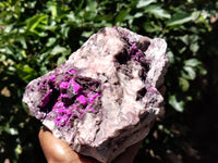 Natural Salrose Cobaltion Dolomite Specimen x 1 From Kakanda, Congo