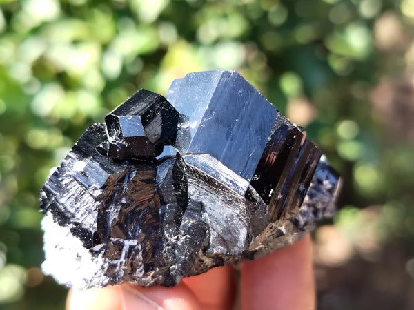 Natural Schorl Black Tourmaline Specimens x 12 From Erongo, Namibia