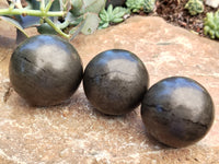 Polished Pharaoh Stone Spheres x 3 Zimbabwe