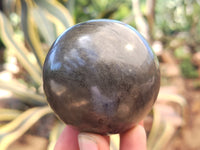 Polished Pharaoh Stone Spheres x 3 Zimbabwe