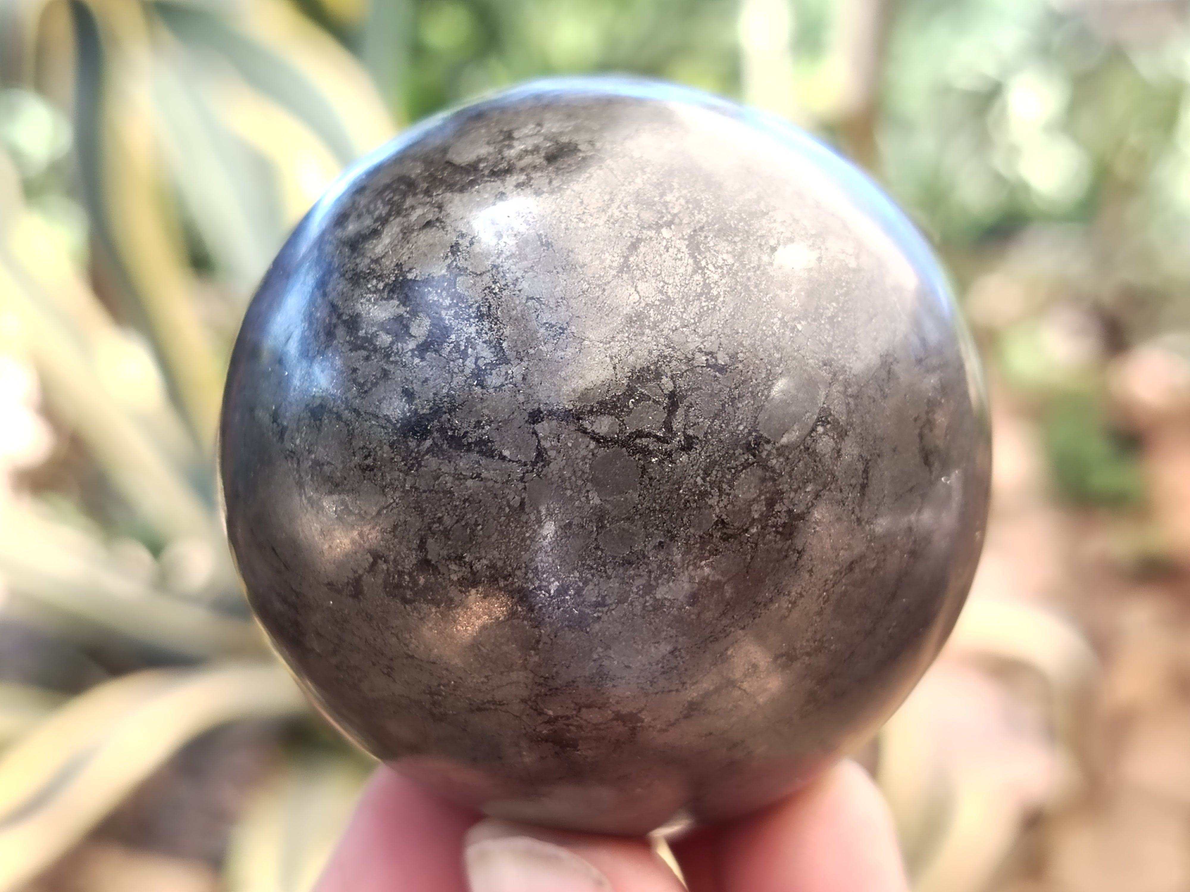 Polished Pharaoh Stone Spheres x 3 Zimbabwe