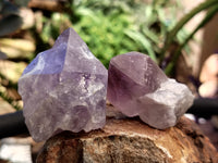 Natural Jacaranda Amethyst Single Quartz Crystals x 24 from Mumbwa, Zambia