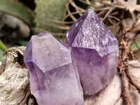 Natural Jacaranda Amethyst Single Quartz Crystals x 24 from Mumbwa, Zambia