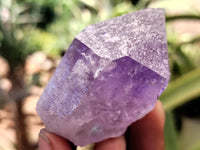 Natural Jacaranda Amethyst Single Quartz Crystals x 24 from Mumbwa, Zambia