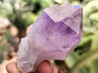 Natural Jacaranda Amethyst Single Quartz Crystals x 24 from Mumbwa, Zambia