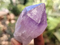 Natural Jacaranda Amethyst Single Quartz Crystals x 24 from Mumbwa, Zambia